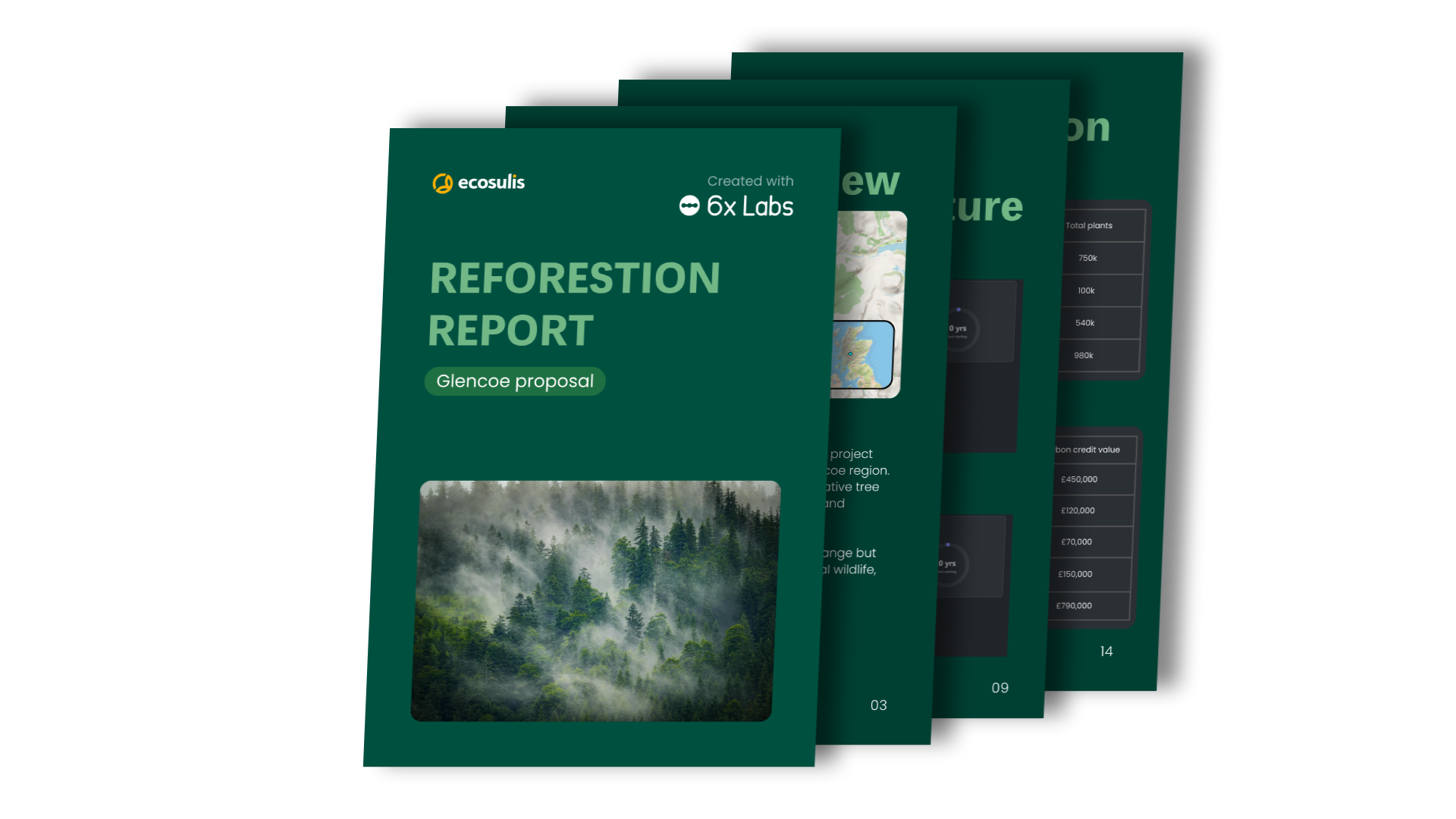 Example of an exported reforestation PDF report